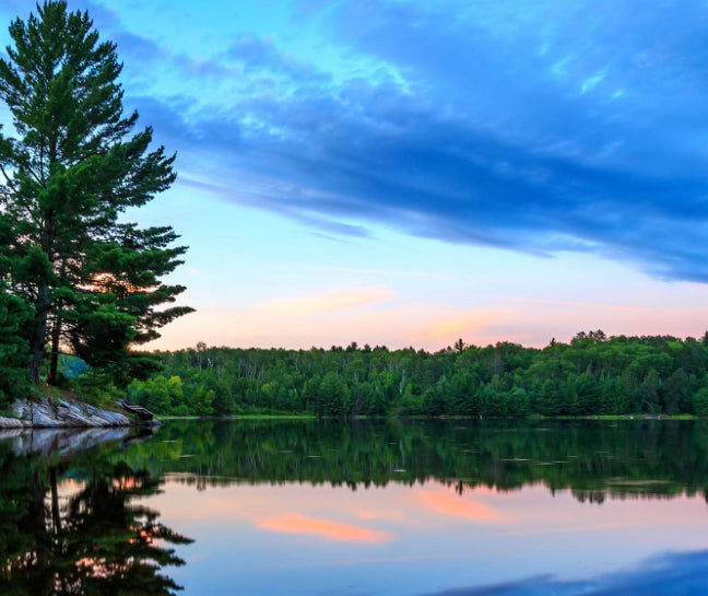 Voyageurs National Park Hand Dyed Yarn