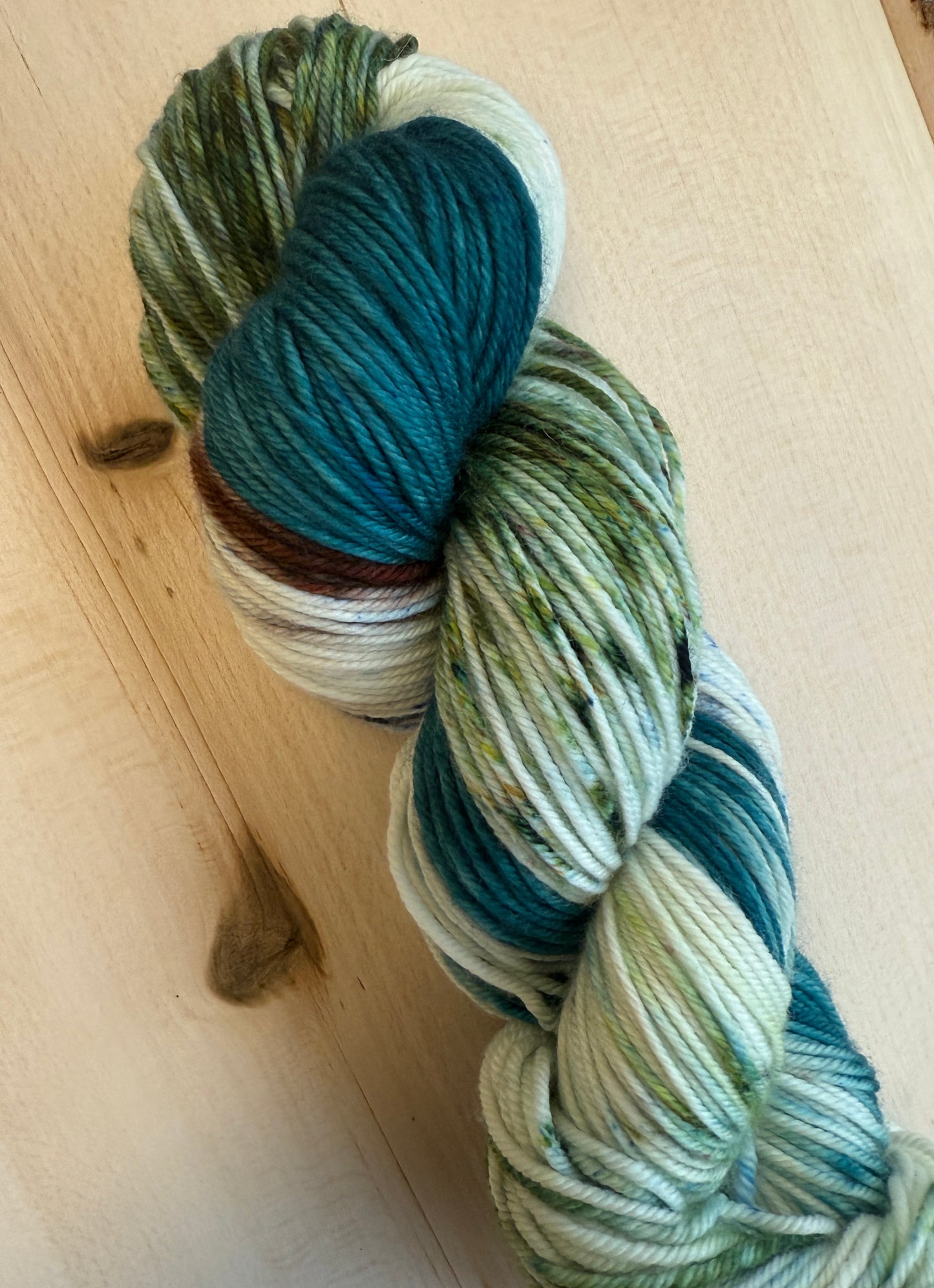 Lake Bemidji State Park Hand Dyed Yarn