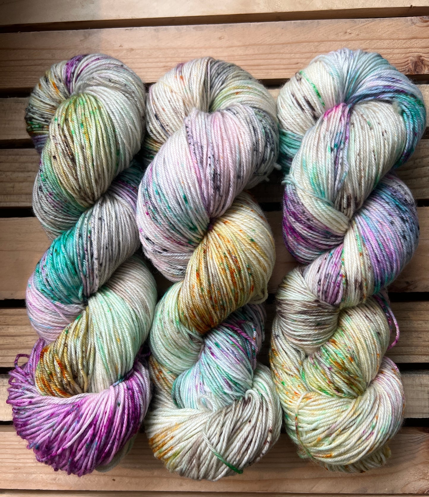 Pet Chicken Hand Dyed Yarn