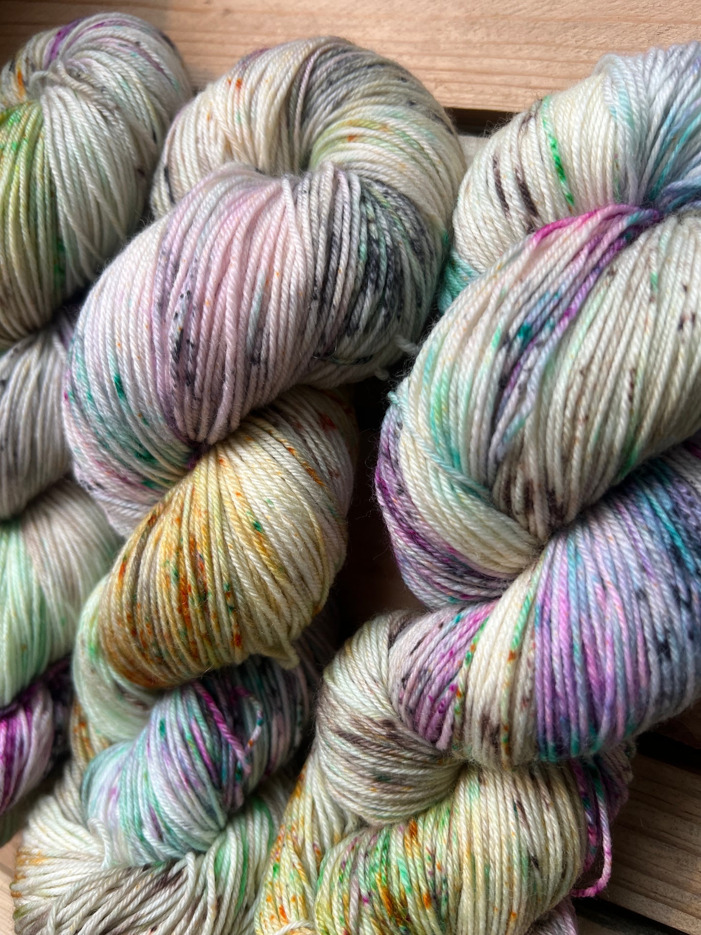 Pet Chicken Hand Dyed Yarn