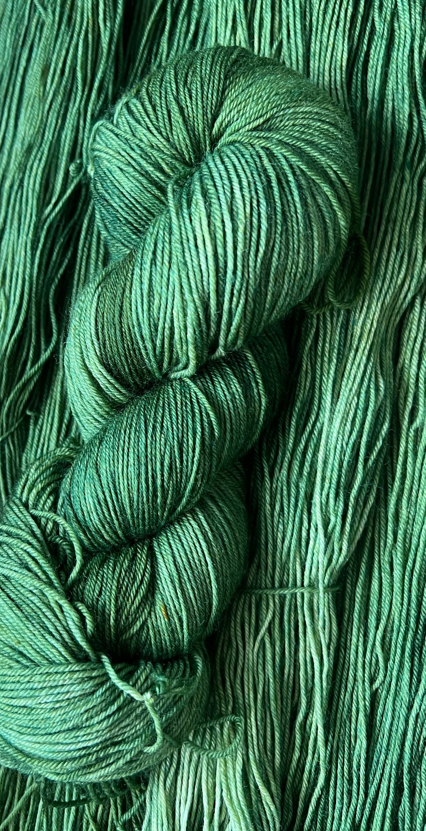 In the Pines Hand Dyed Yarn