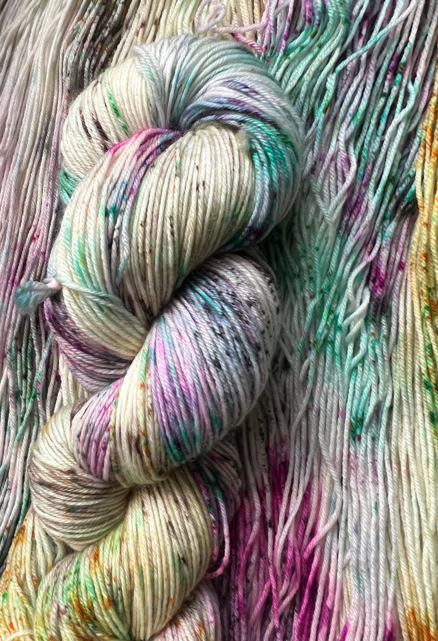 Pet Chicken Hand Dyed Yarn