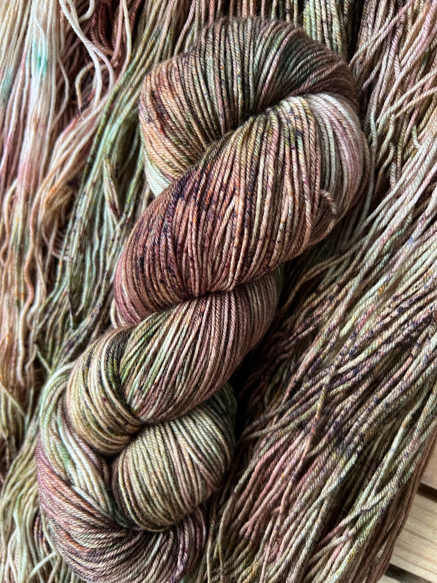 Wonders of the Forest Hand Dyed Yarn