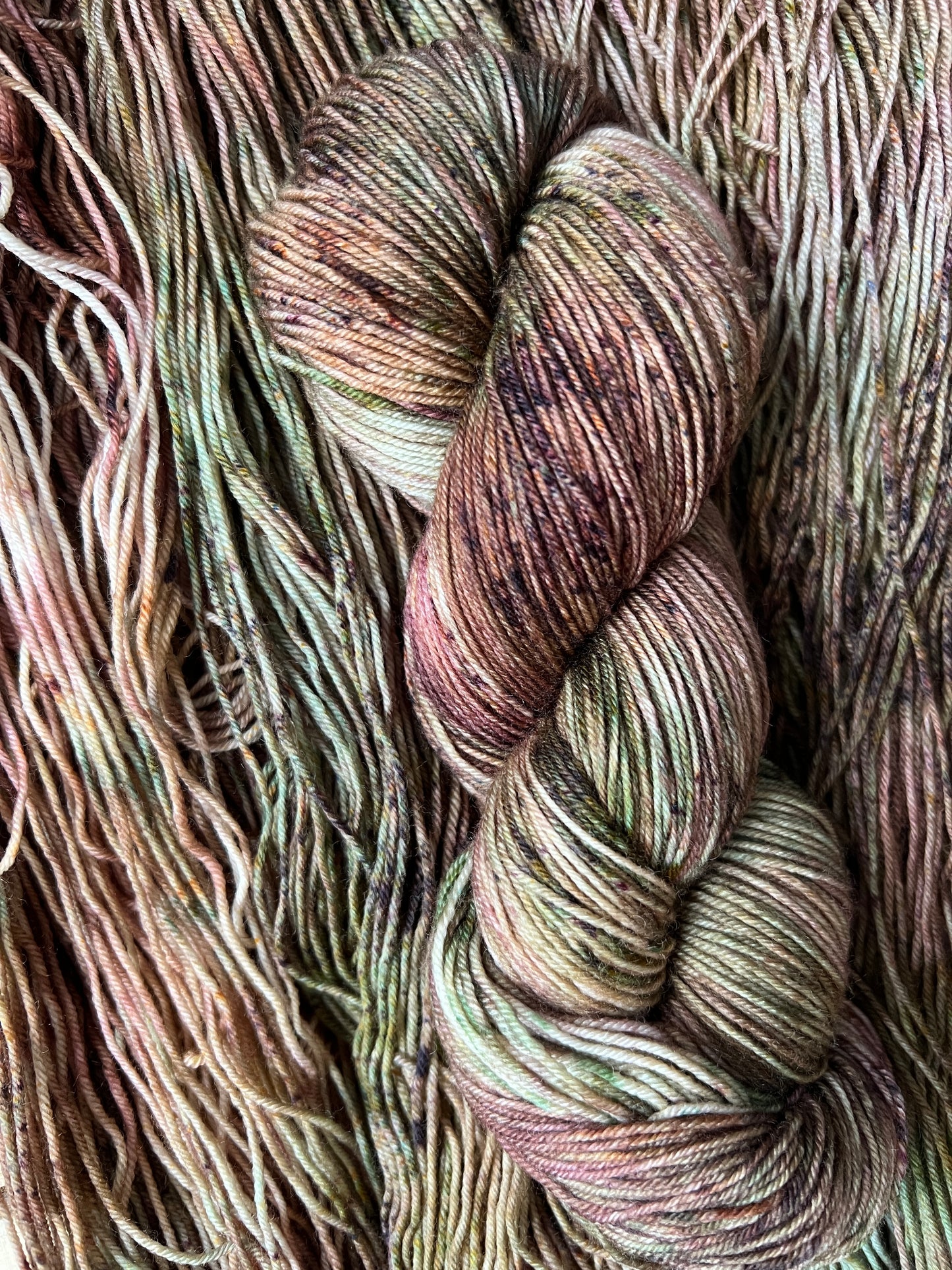 Wonders of the Forest Hand Dyed Yarn