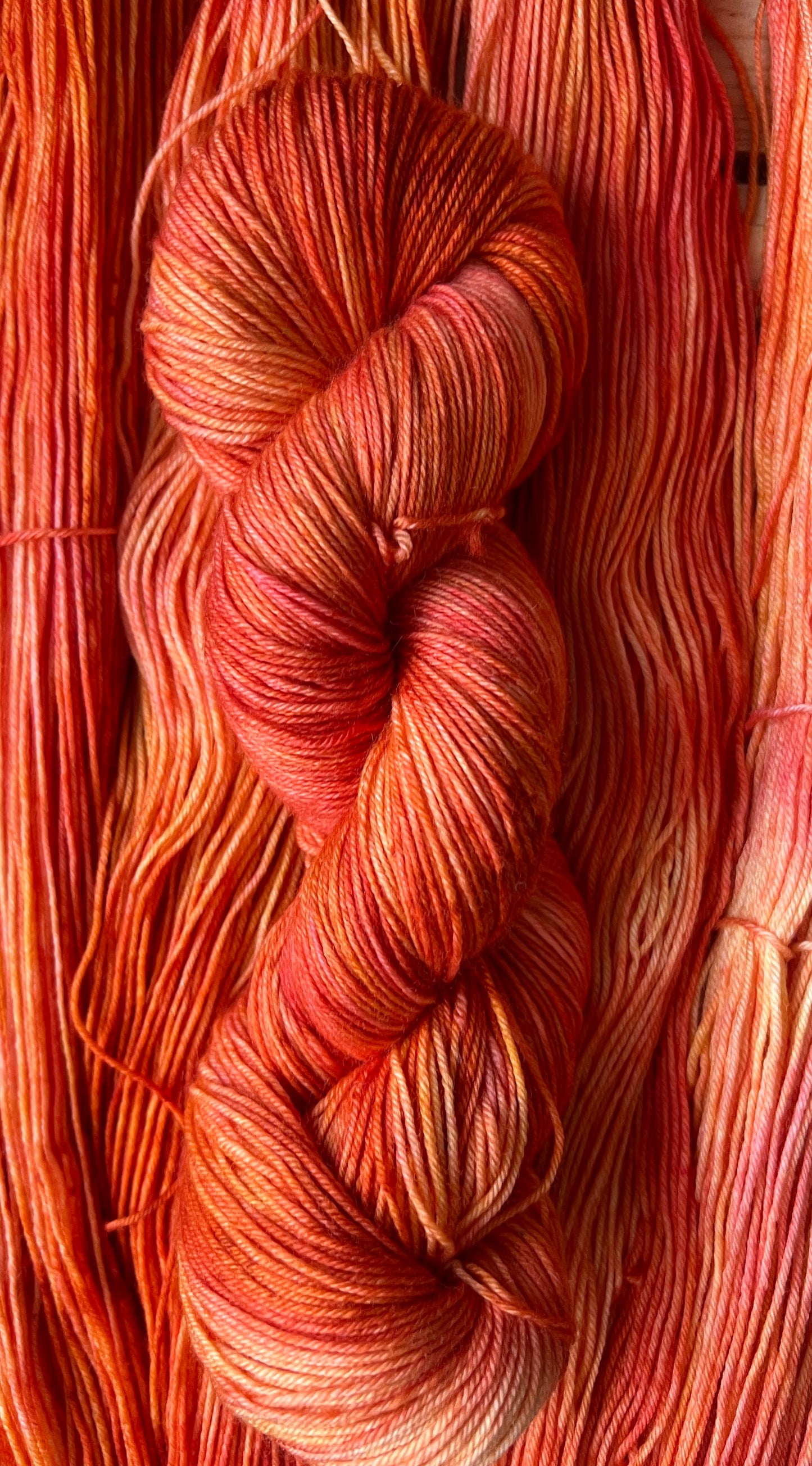 Early Bird Hand Dyed Yarn