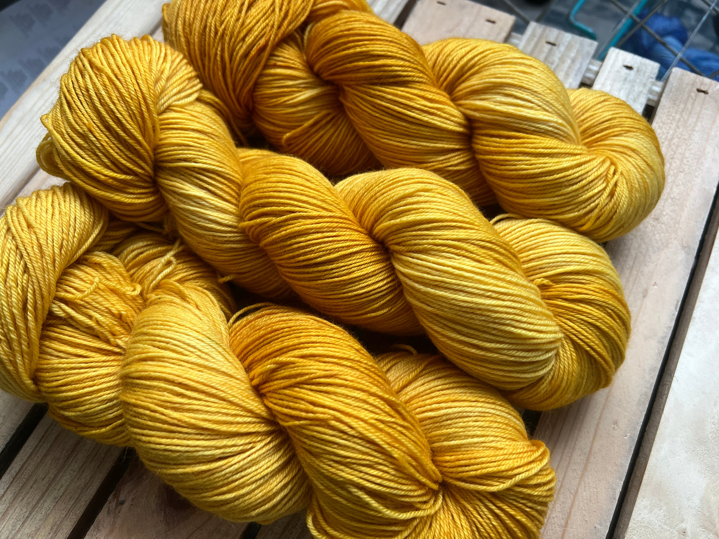 Pirate's Booty Hand Dyed Yarn