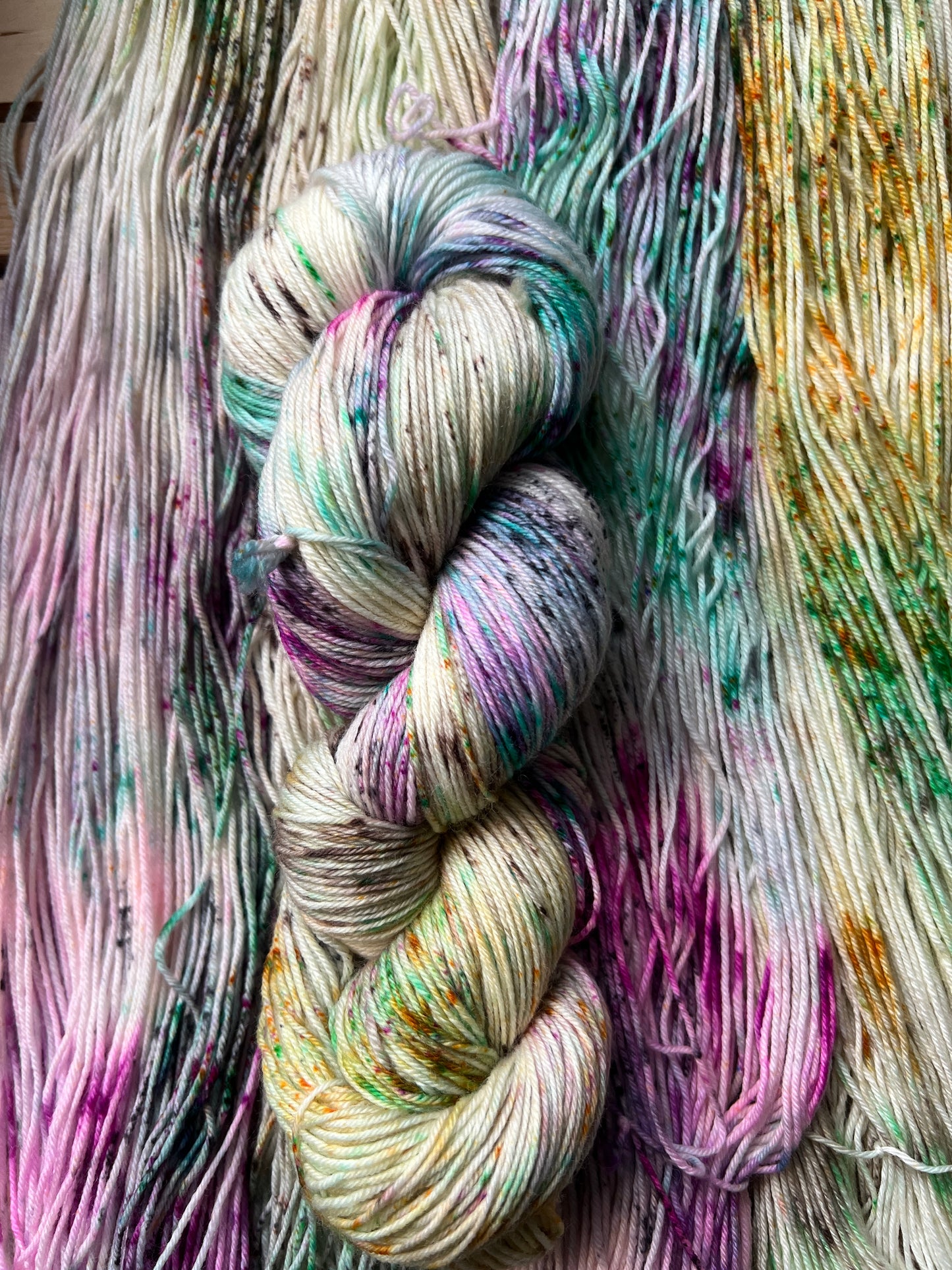 Pet Chicken Hand Dyed Yarn