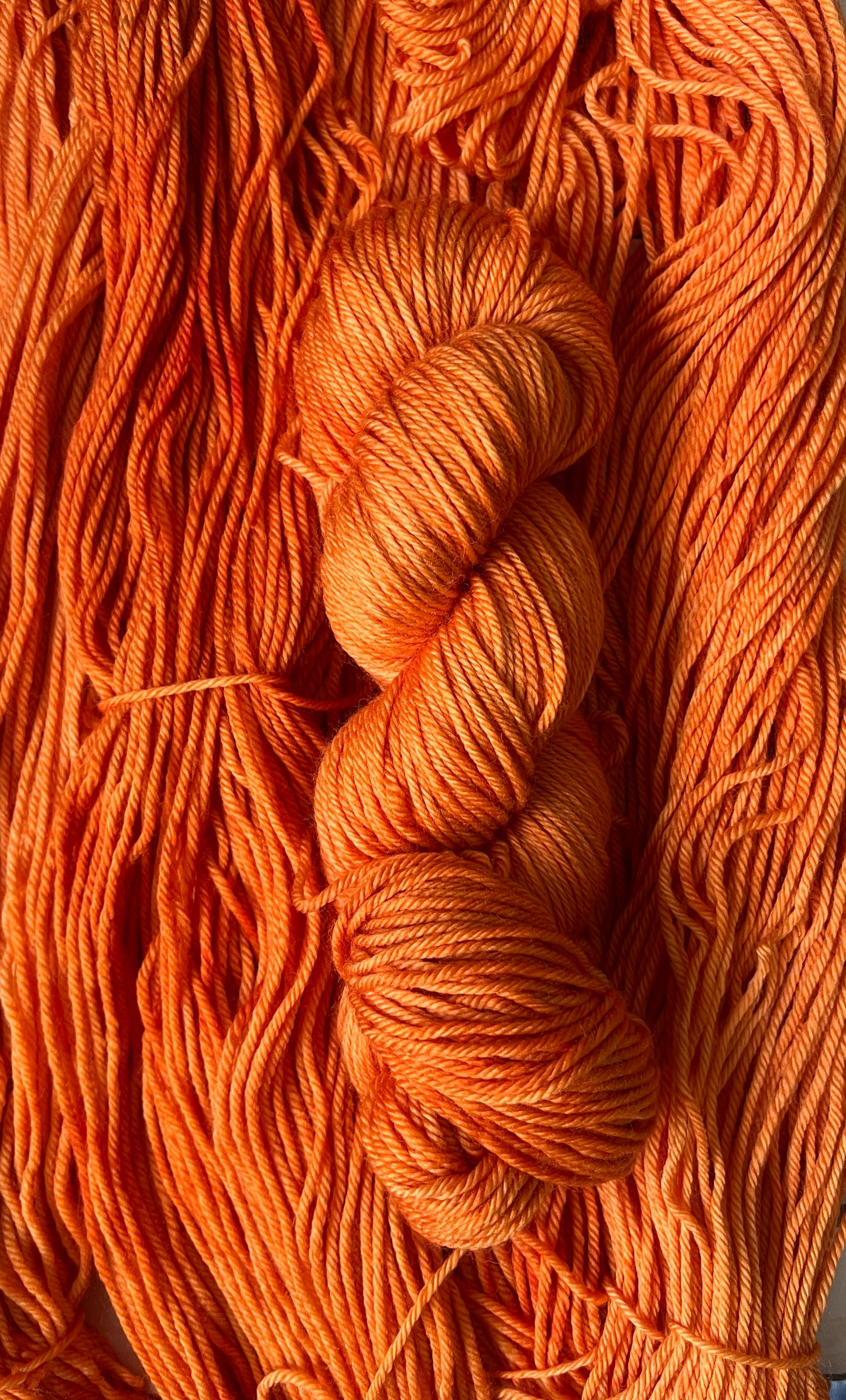 Carrot Cake Hand Dyed Yarn
