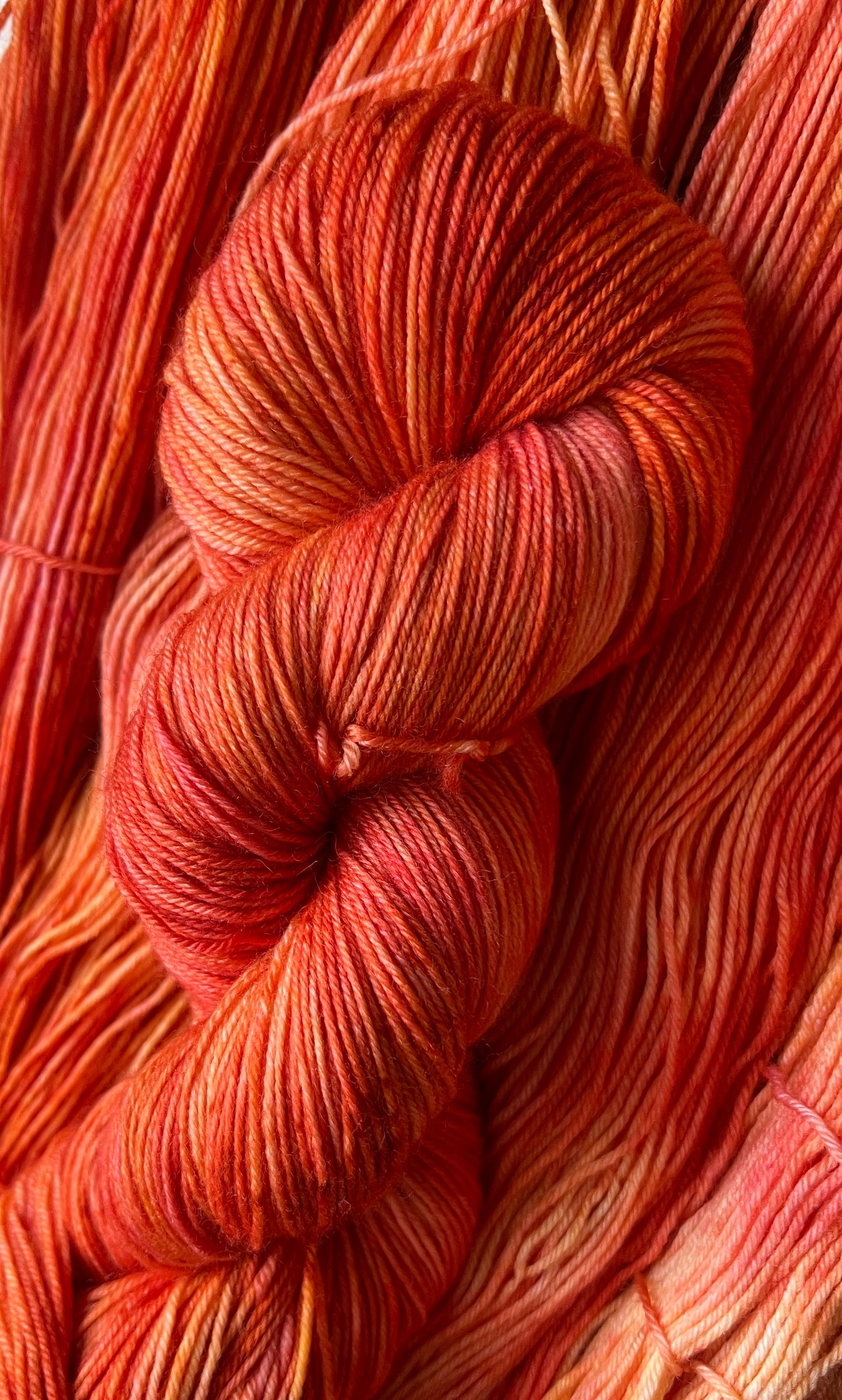 Early Bird Hand Dyed Yarn