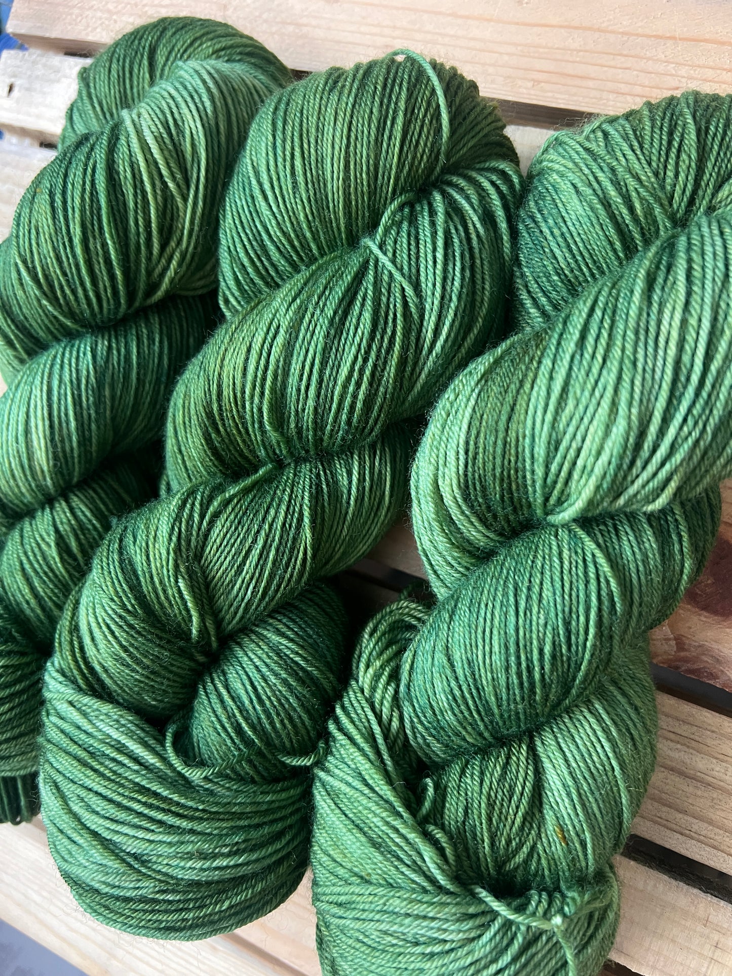 In the Pines Hand Dyed Yarn