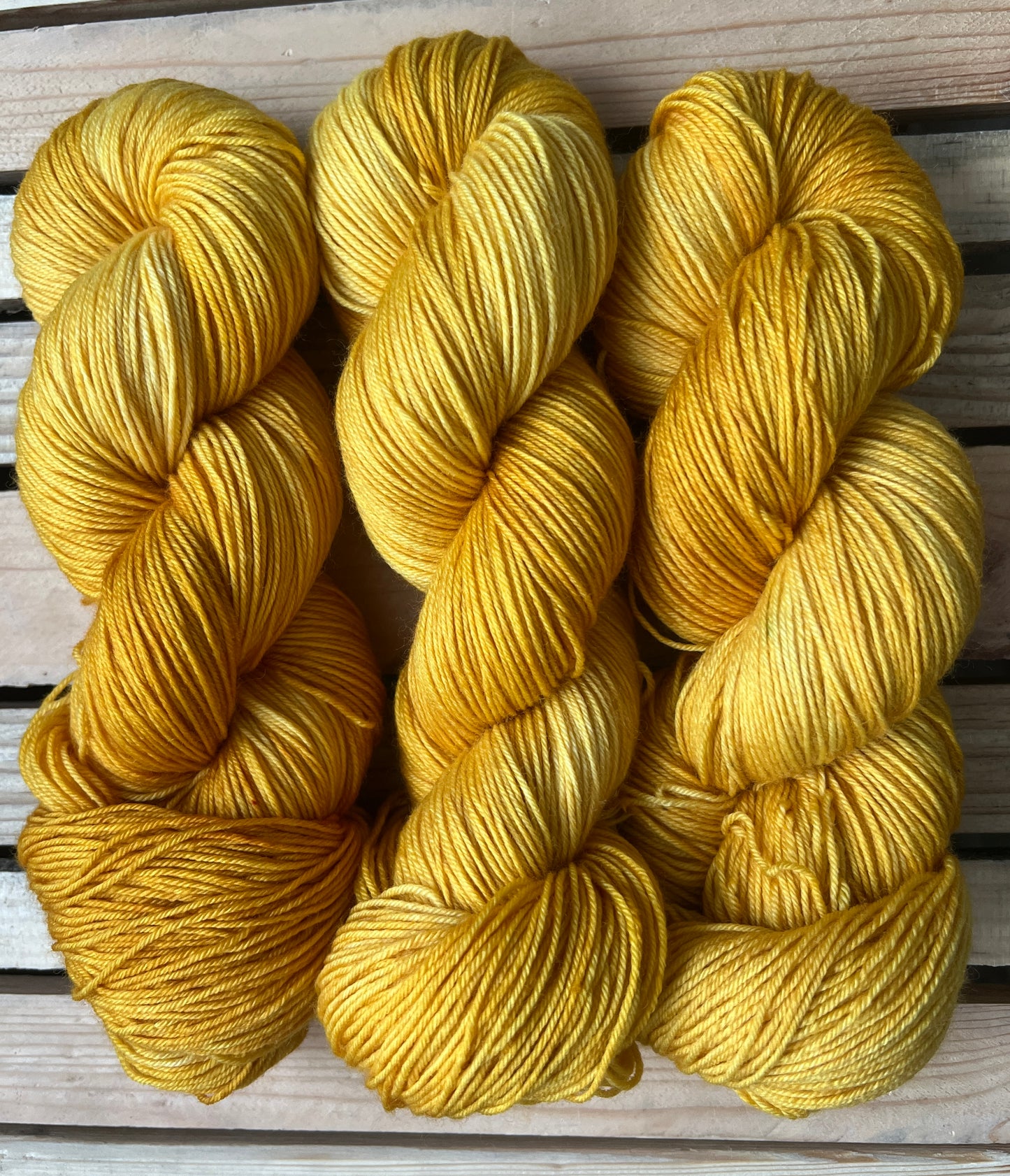 Pirate's Booty Hand Dyed Yarn