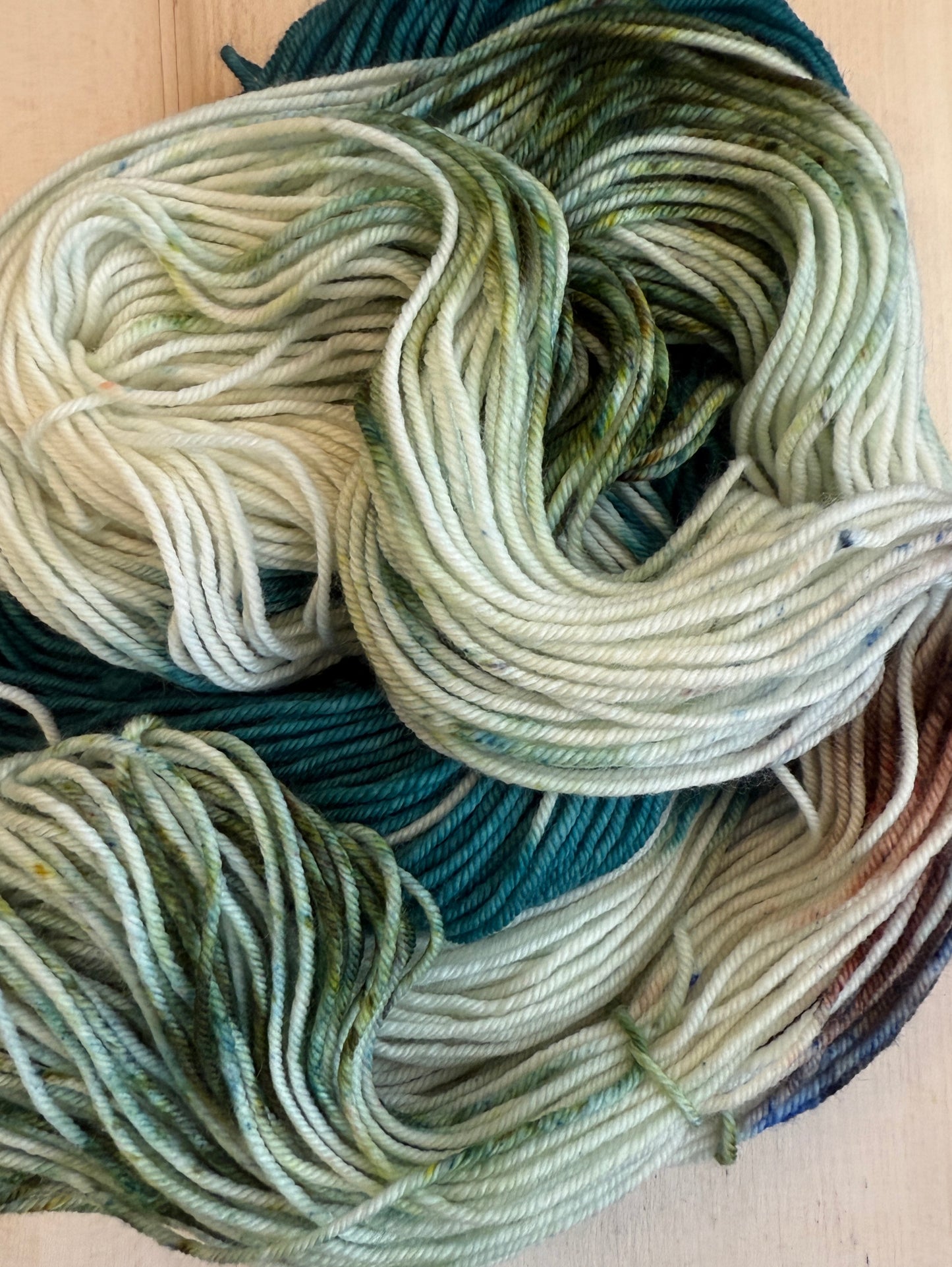 Lake Bemidji State Park Hand Dyed Yarn