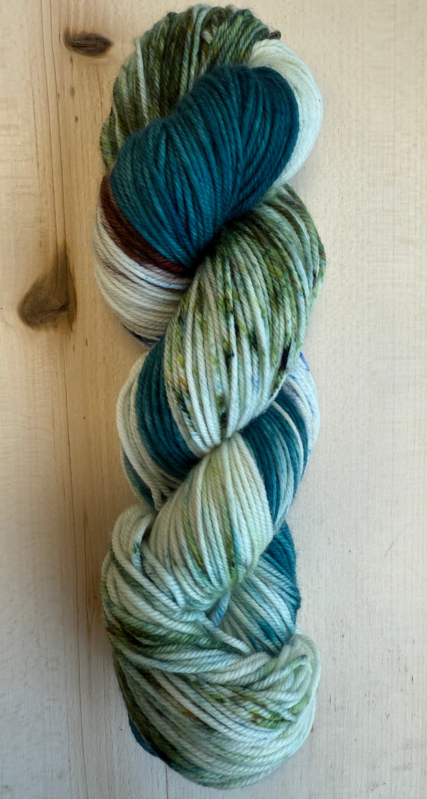 Lake Bemidji State Park Hand Dyed Yarn