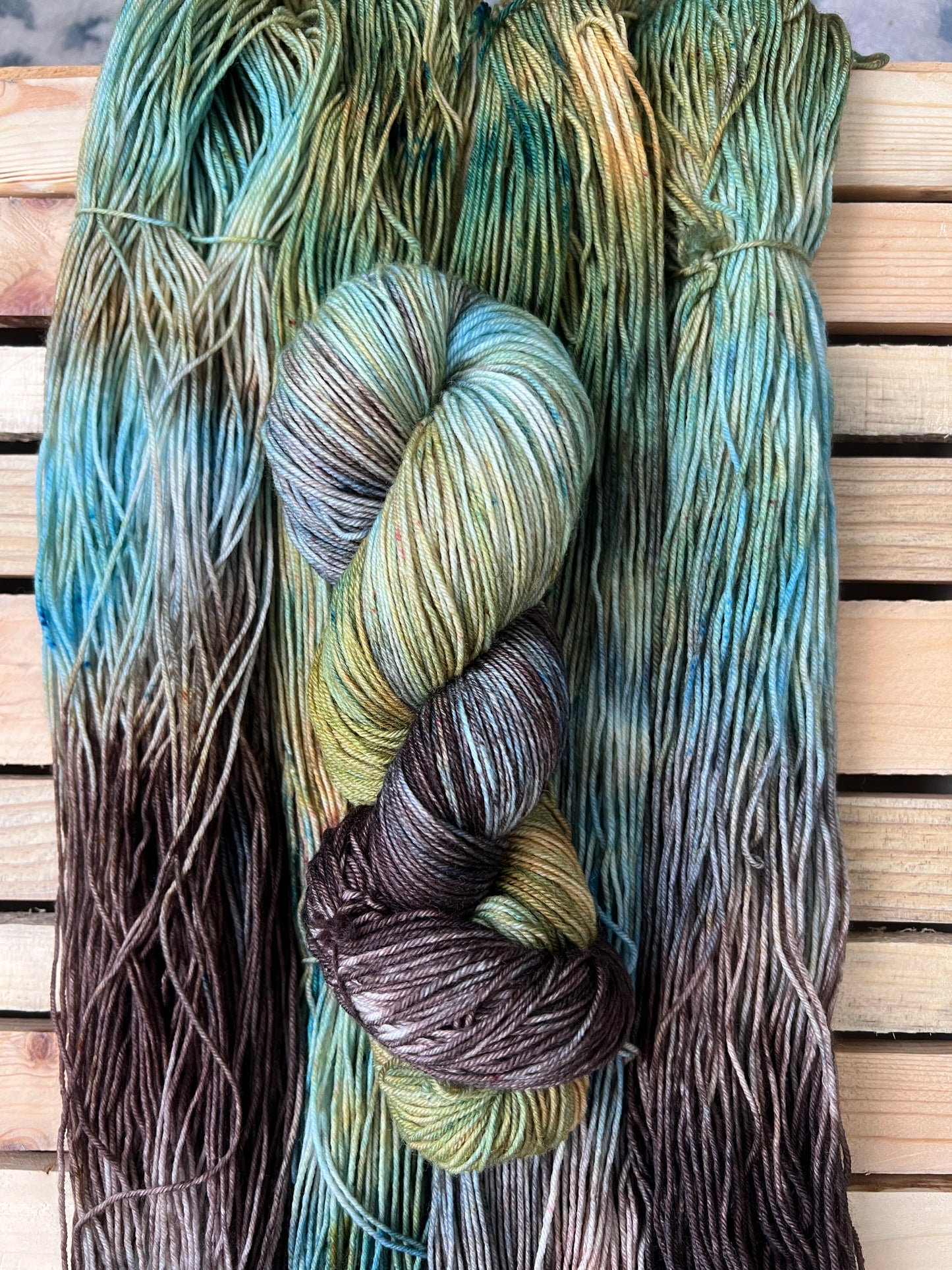 Sea Turtle Hand Dyed Yarn