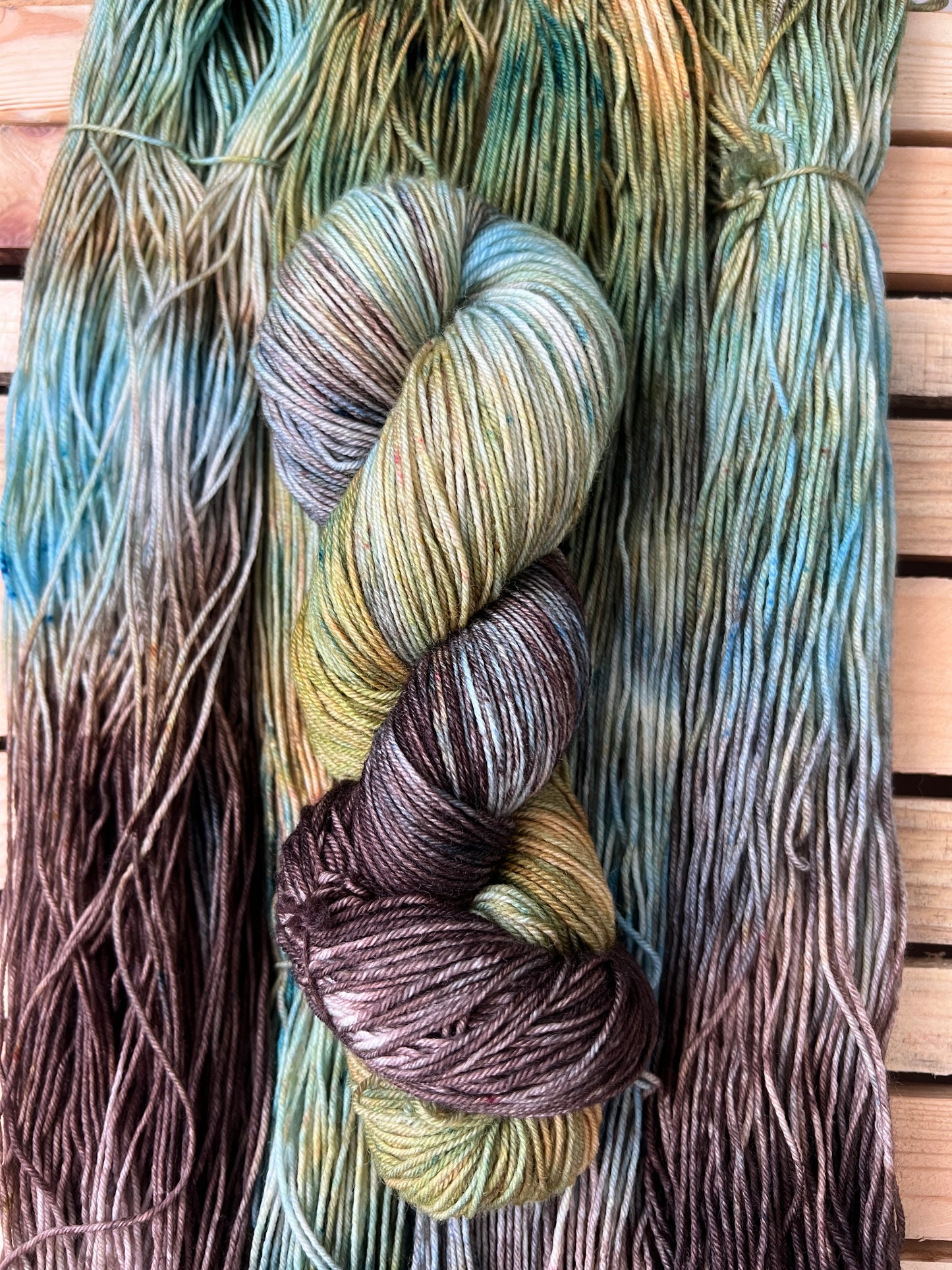 Sea Turtle Hand Dyed Yarn