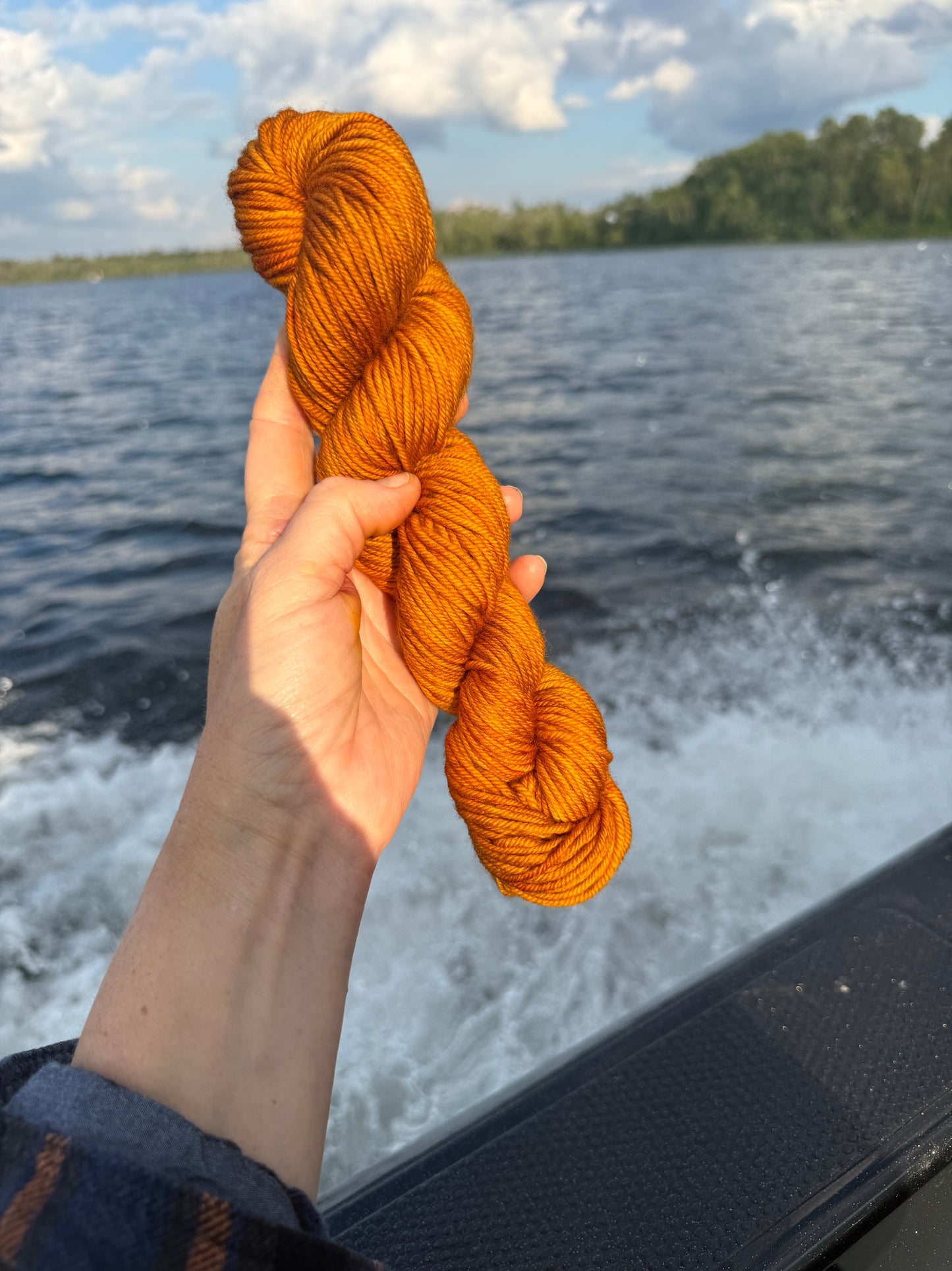 Apple Cider Donut Hand Dyed Yarn