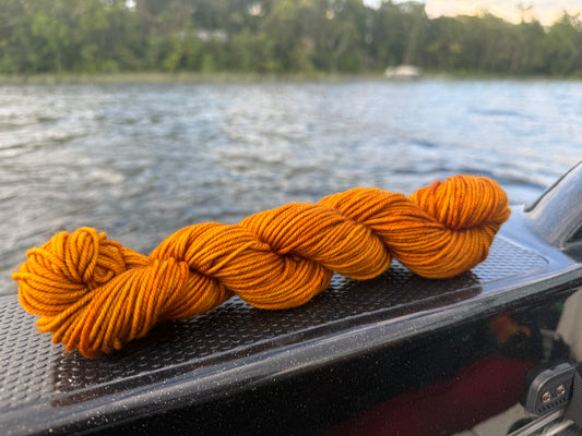 Apple Cider Donut Hand Dyed Yarn