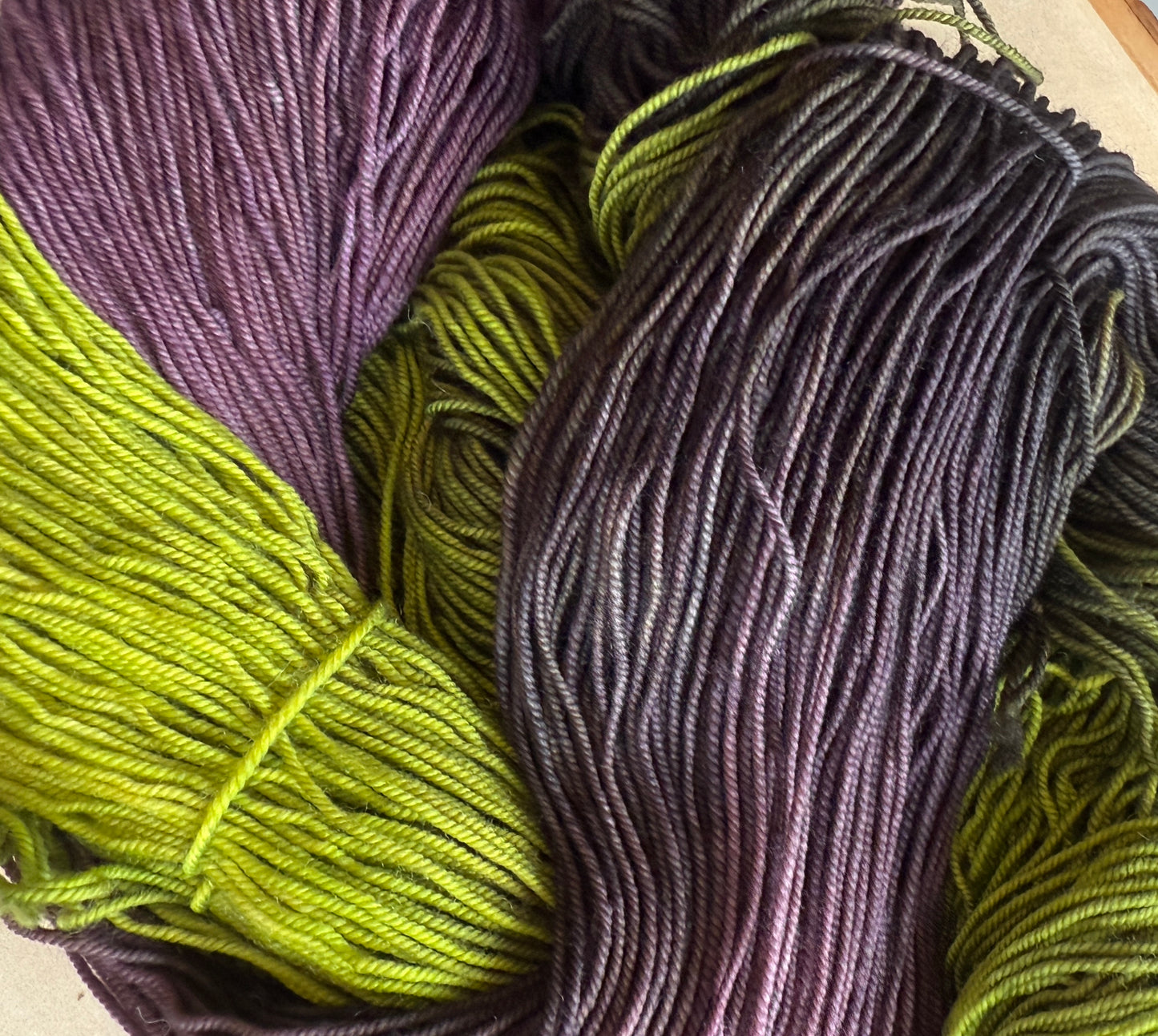 Salem Hand Dyed Yarn