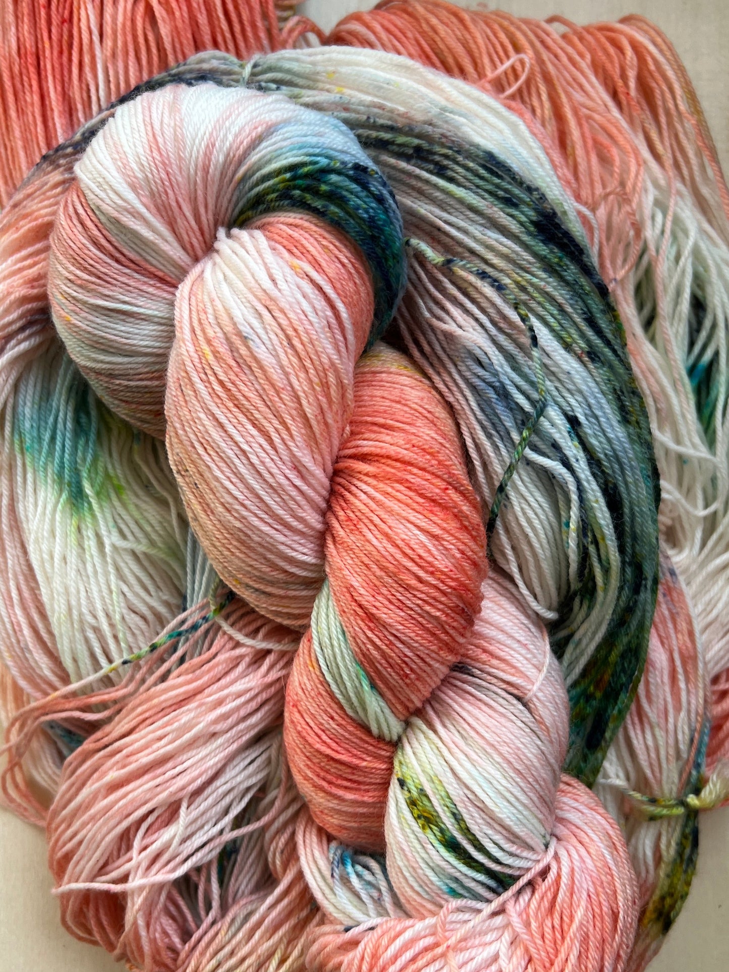 Bird of Paradise Hand Dyed Yarn