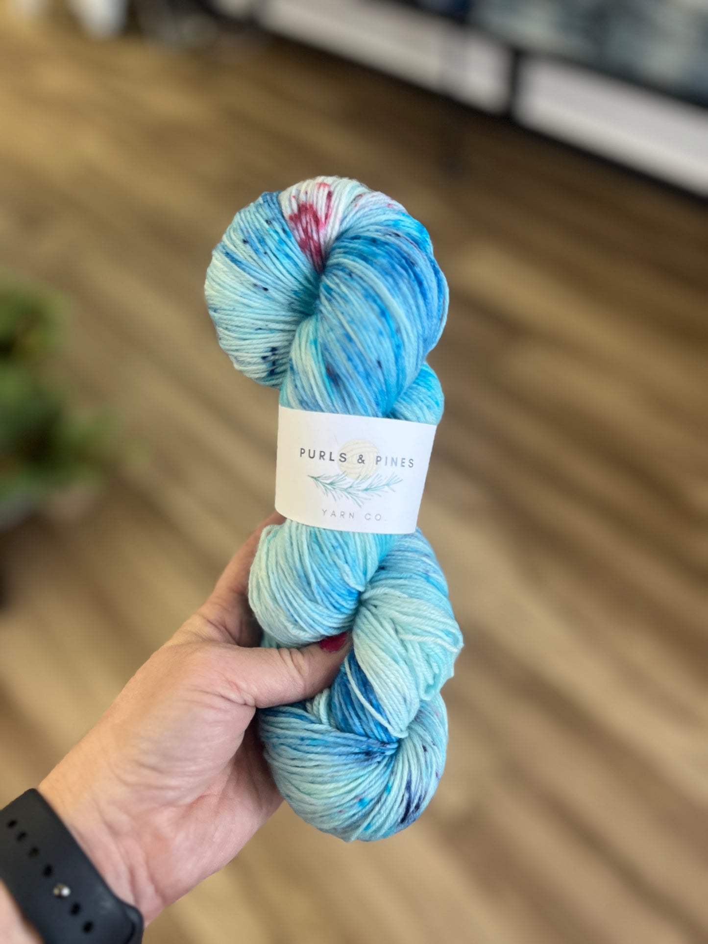 Jack Frost Nippin' Hand Dyed Yarn