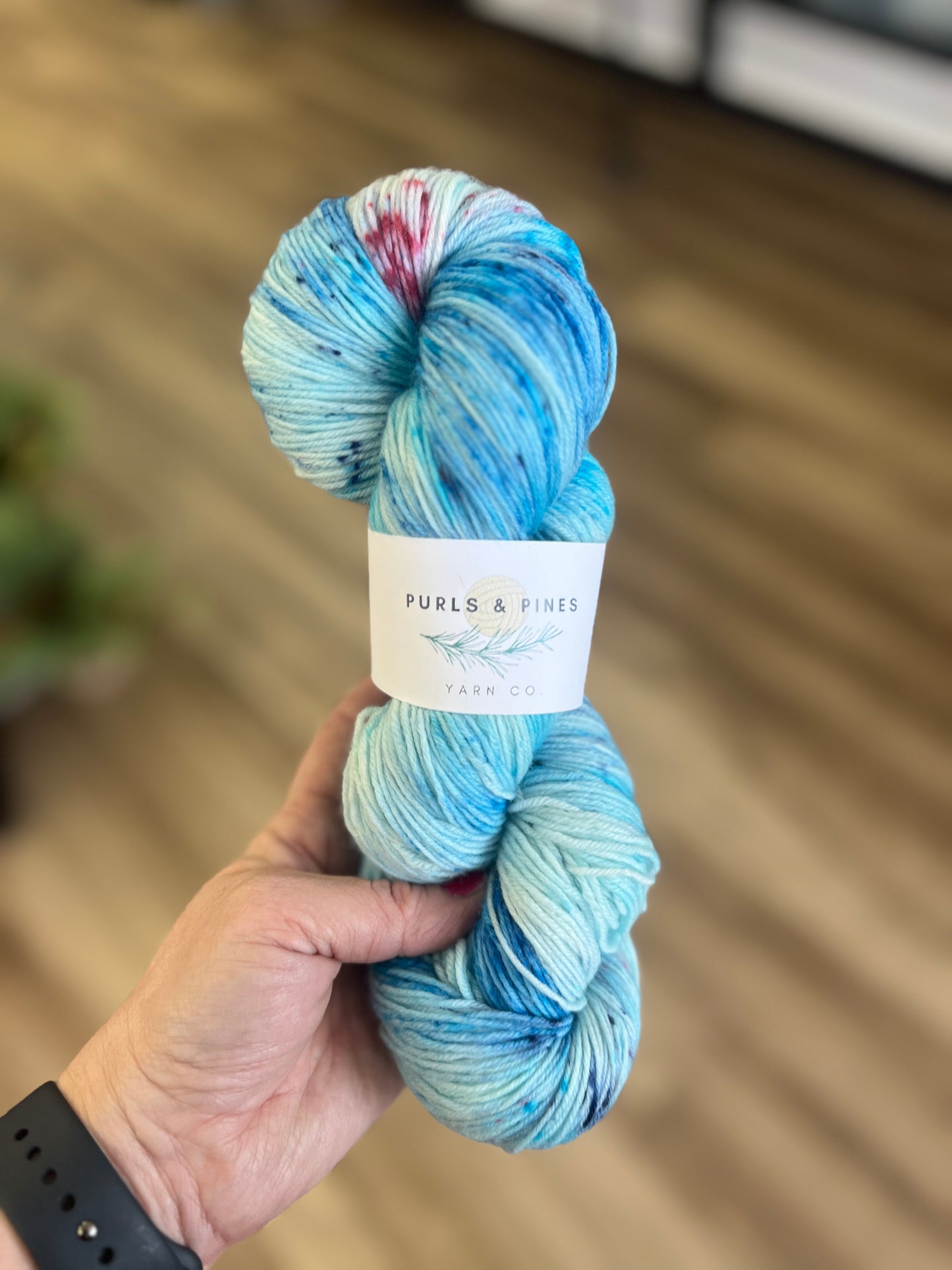 Jack Frost Nippin' Hand Dyed Yarn