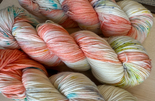 Bird of Paradise Hand Dyed Yarn