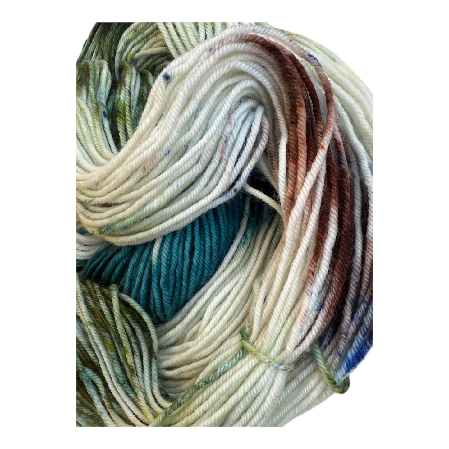Lake Bemidji State Park Hand Dyed Yarn